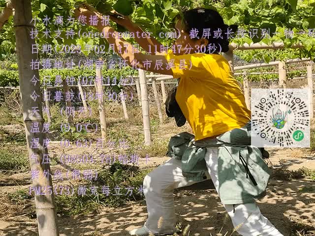 7b9f0b1d29265383552e82c99bdd5699.mp4