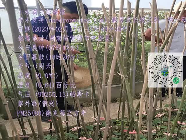 1ca5315187c7915aedcb62a0d18b756b.mp4