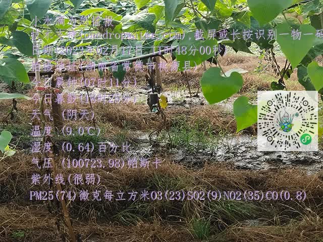 06c21ad90113e10a3bdfe99bc22fcd9a.mp4