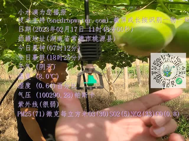 09a7db86497f5b2fde7f575a34e1a081.mp4