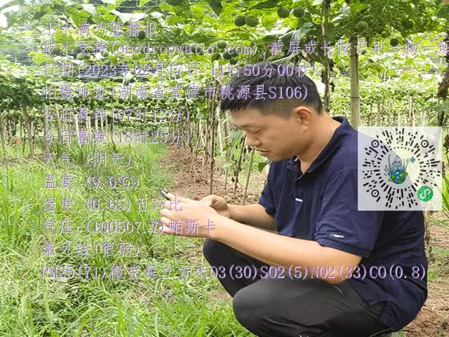 d2462b8ae5b976776d56676b3837a8bf.mp4