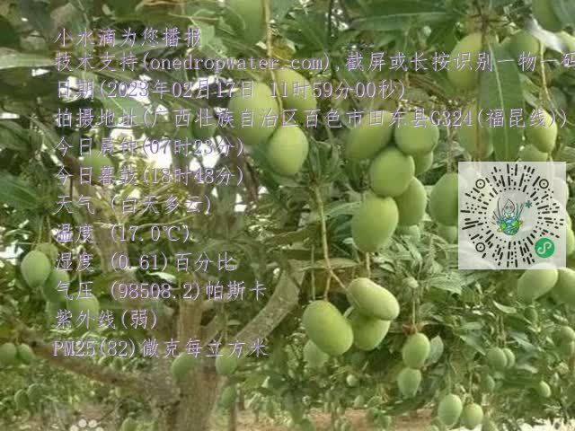 8ef11e115cff7ad3080e45ead4504c5b.mp4