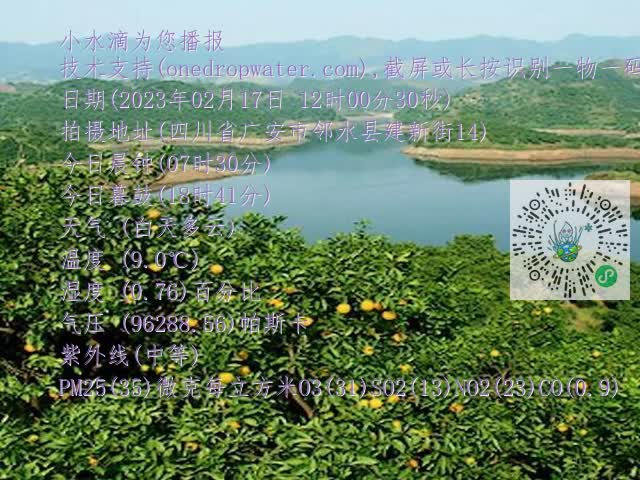 710dd9a2bbdcc7f599e8cf216ccee0a4.mp4