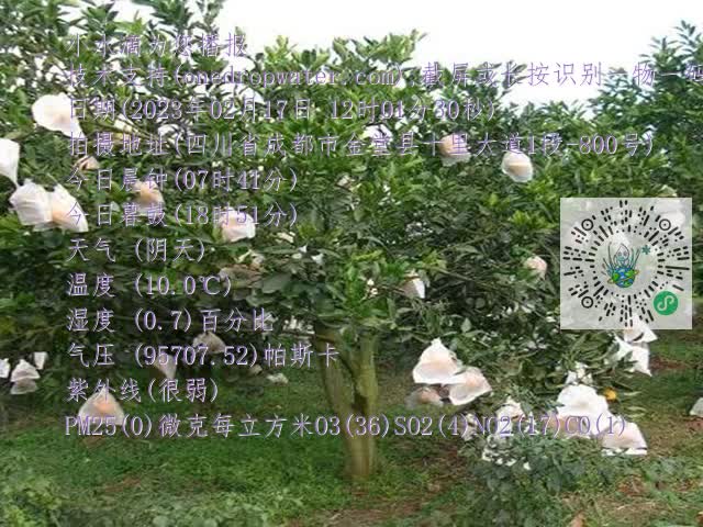 cbf8153904b560875ce45f0c0f7c89b0.mp4