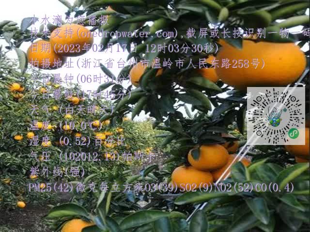 dcb54634031d6cd8388b95b924b82b1f.mp4
