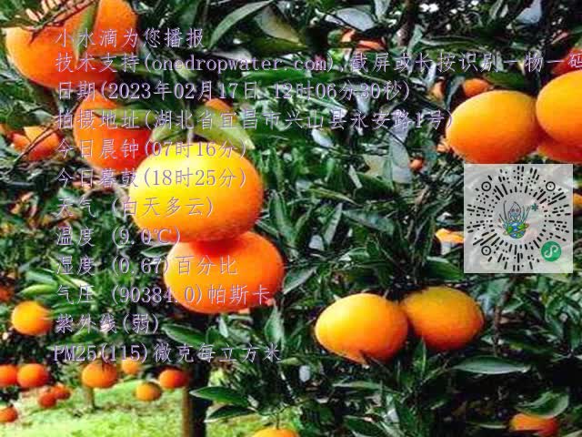 9f27c15a54c36c088ceecf758502d516.mp4
