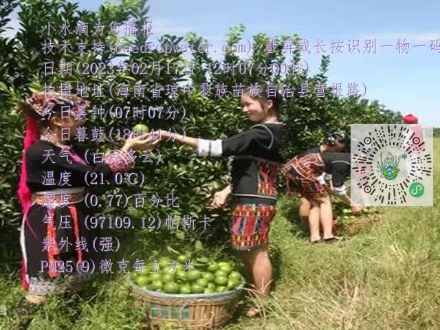 9fcec425d76fe5c039e462790b9ad4f2.mp4