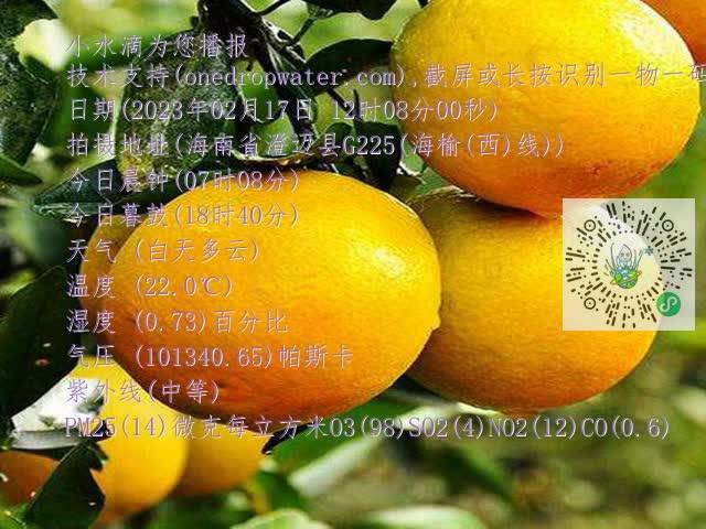 0d8884e3ee204d240a304b211f62da1c.mp4