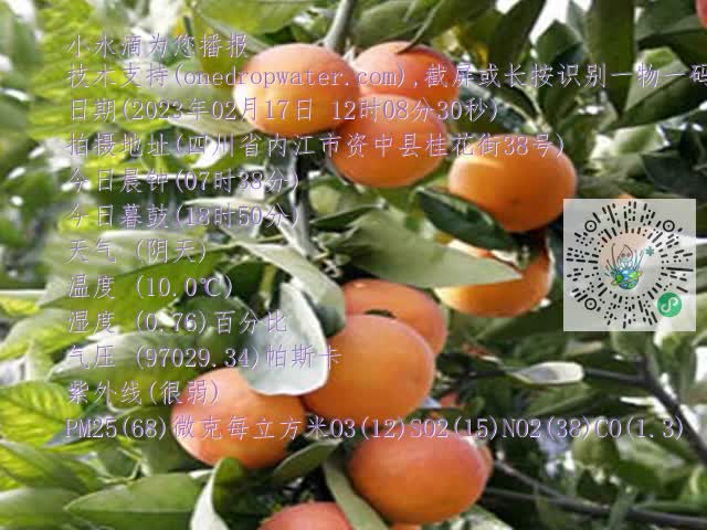 e3ebbcc65406adf59700652ad5a43744.mp4