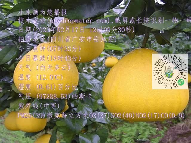 9f39d7d4e40f5547f9f476f959bff4f0.mp4