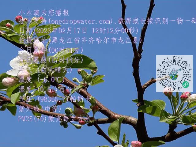 d77827fd2f4aa417a715d1dc90323eb3.mp4