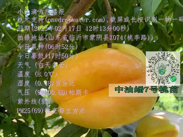 ca787f73a8798aa43d40934c56412274.mp4