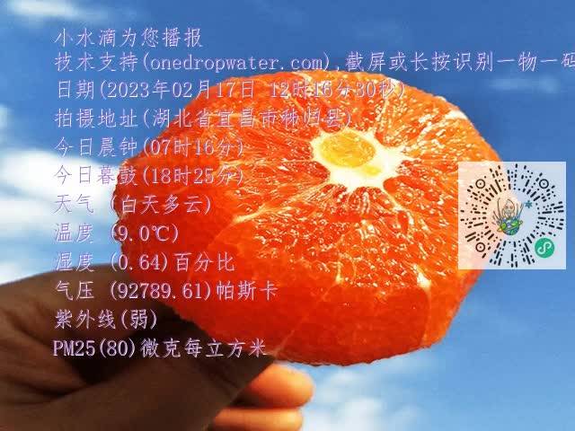 2dd7c92454ed3c2c0b797e257031d008.mp4