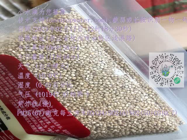 f54041257ae528c1cb15dac07cb202dc.mp4