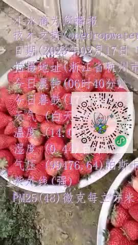 lsP6K546_v1RTT_CS0HONGun7410mp4