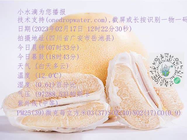 39b012b72081a8c328a6d4b6c17a3612.mp4