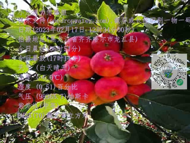 9e52d468dd5ff3824cf170518c89640c.mp4