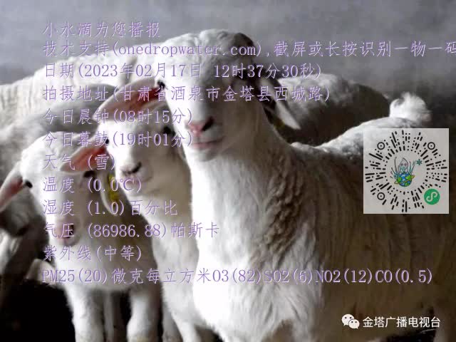 0.mp4