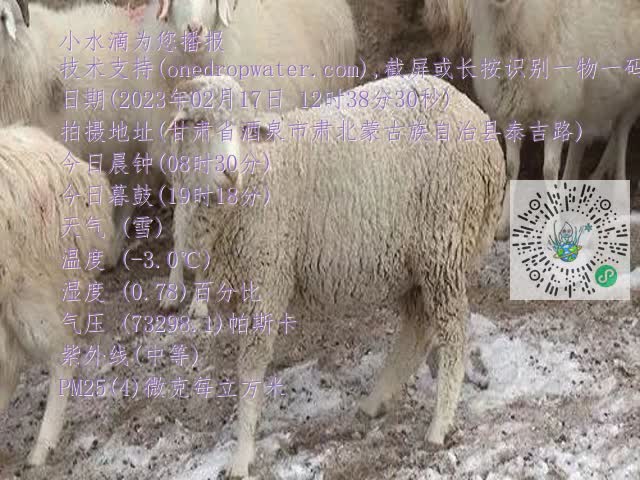 0.mp4
