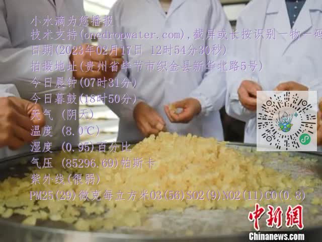 0.mp4