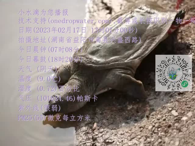0.mp4