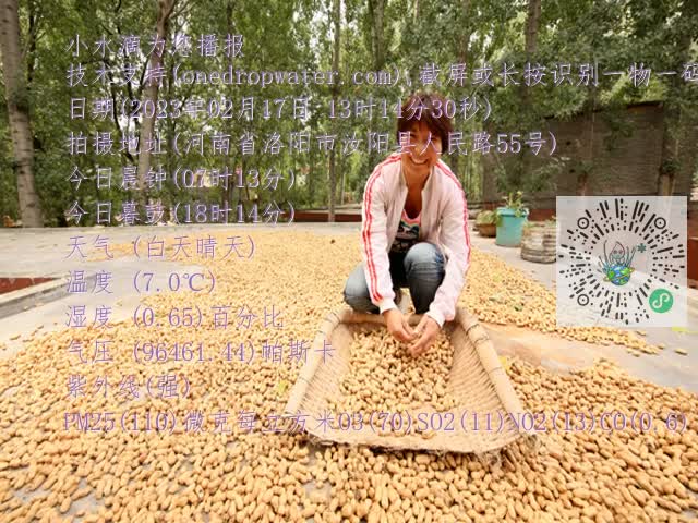 0.mp4