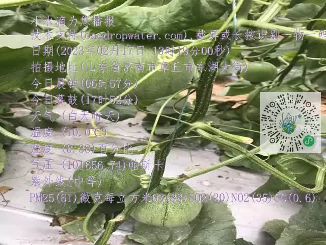 0.mp4
