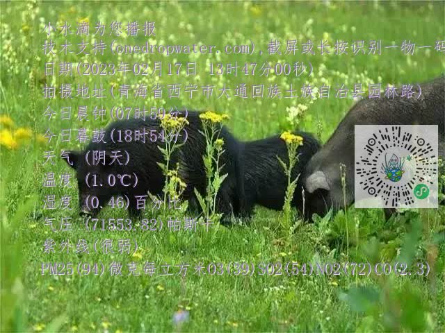 0.mp4