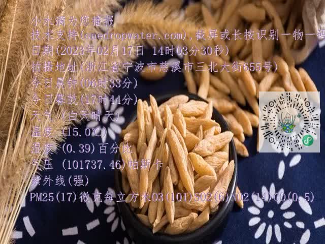 0.mp4