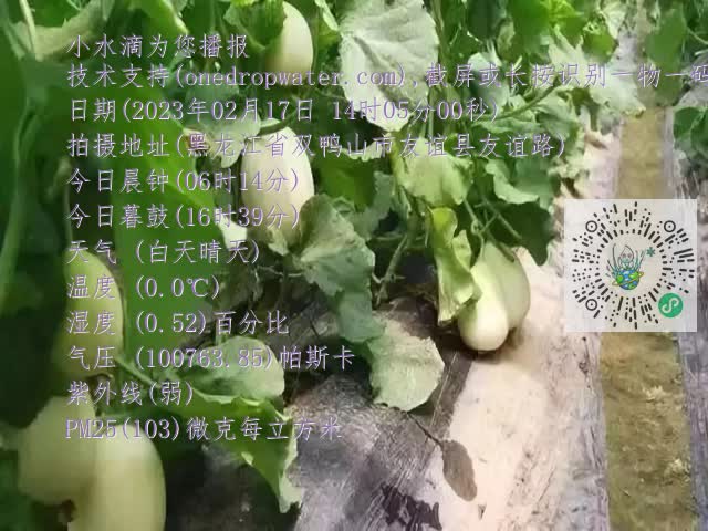 0.mp4