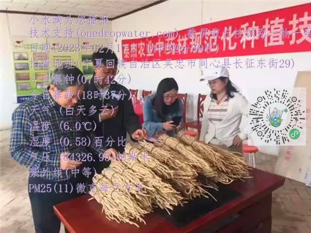 0.mp4