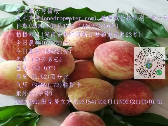 0.mp4