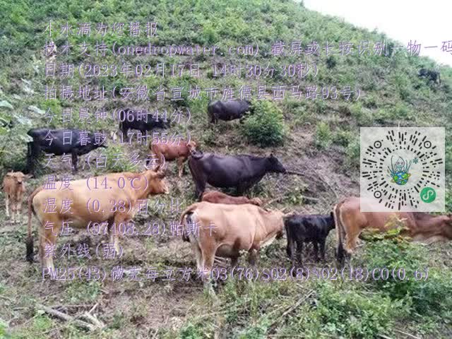 0.mp4