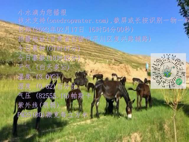0.mp4