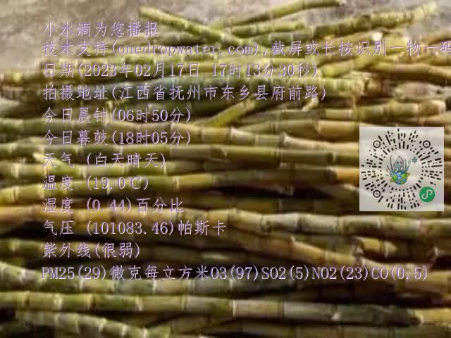 0.mp4