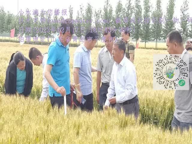 0.mp4