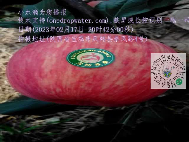 0.mp4
