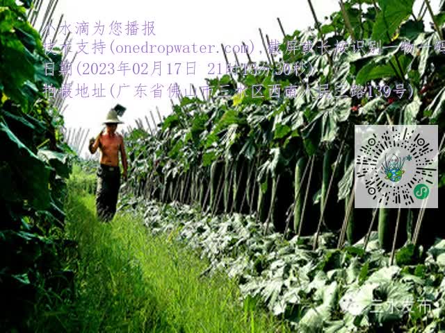 a782fbb78bdb9ce3f2c604fc34f57870.mp4