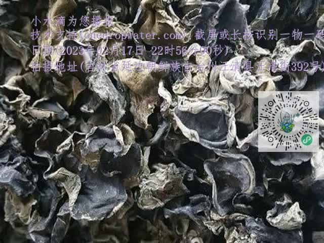 0.mp4