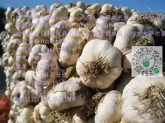 0.mp4