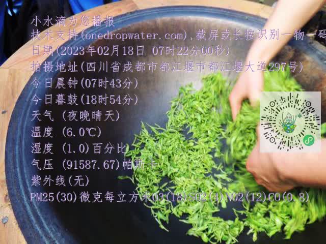 0.mp4