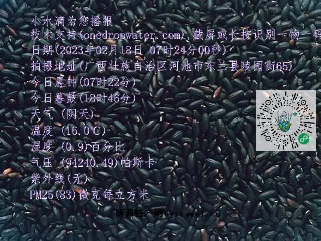 0.mp4