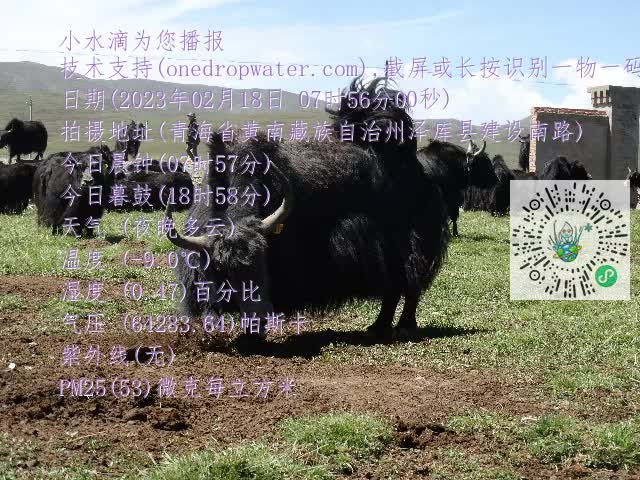 0.mp4