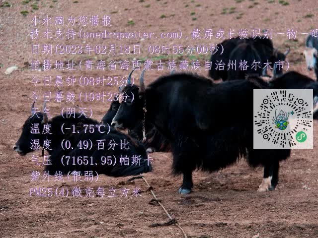 0.mp4