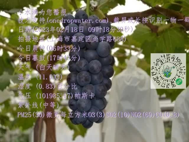 4.mp4