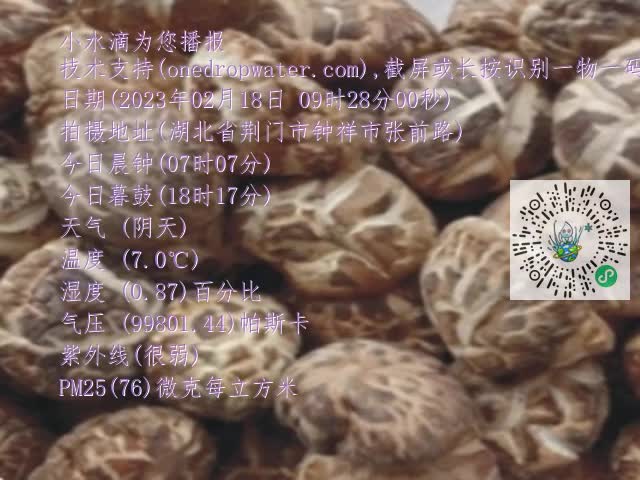0.mp4