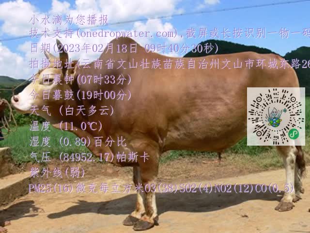 0.mp4