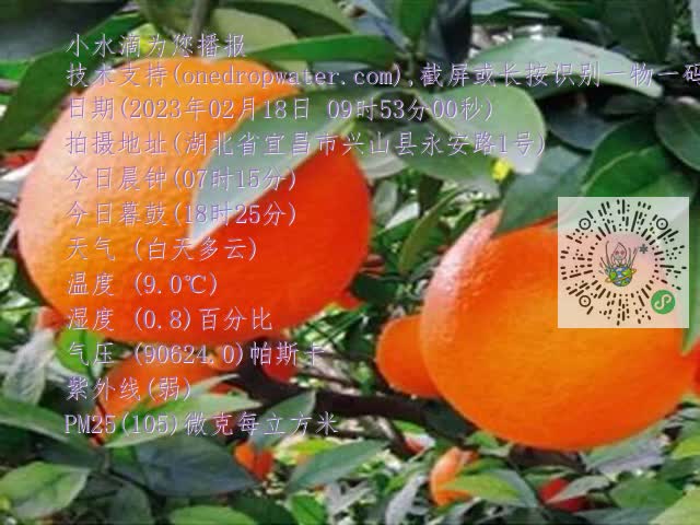 be6d6a0cd548b518276e5b2463864dbc.mp4