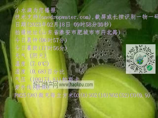 0.mp4