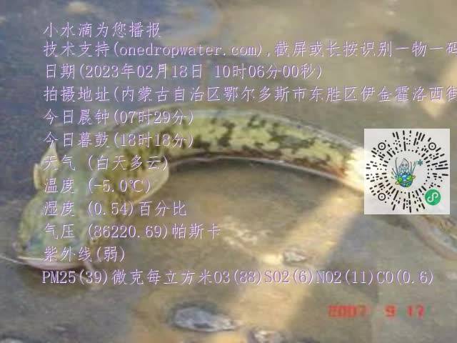 0.mp4